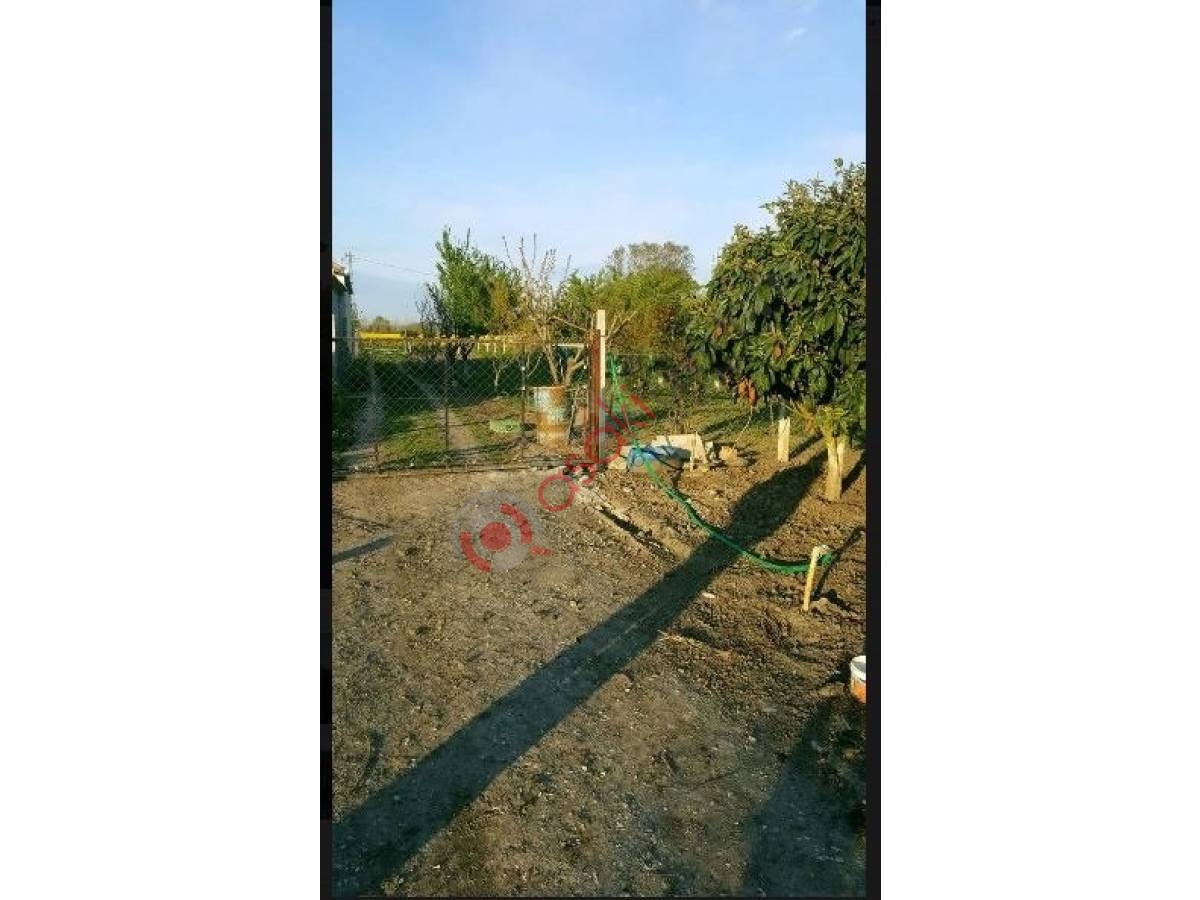 Silivri Çeltik'te Satılık Ev + Bahçe Arsa 2 Dönüm Müstakil - Büyük 2