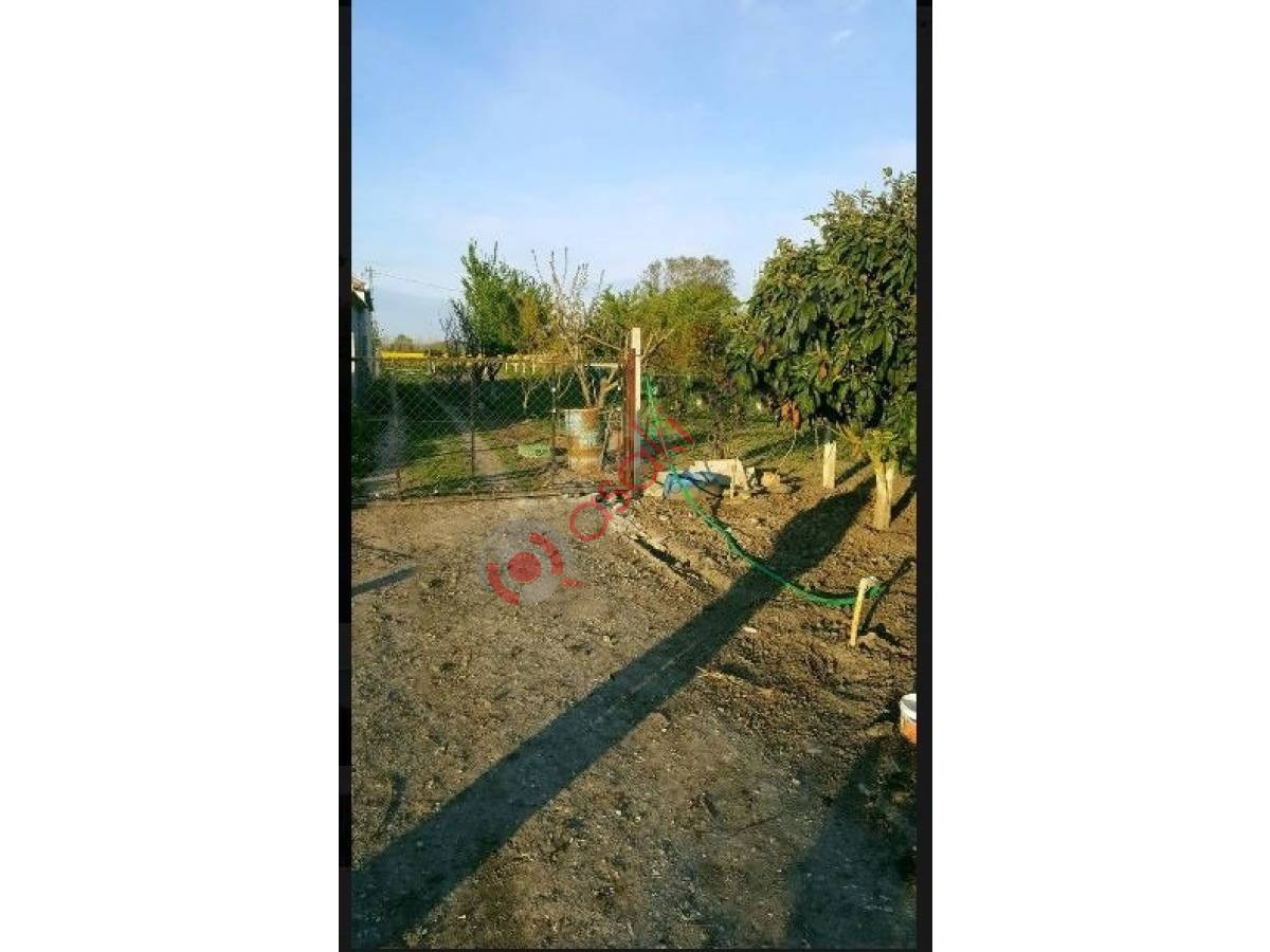 Silivri Çeltik'te Satılık Ev + Bahçe Arsa 2 Dönüm Müstakil - Büyük 5