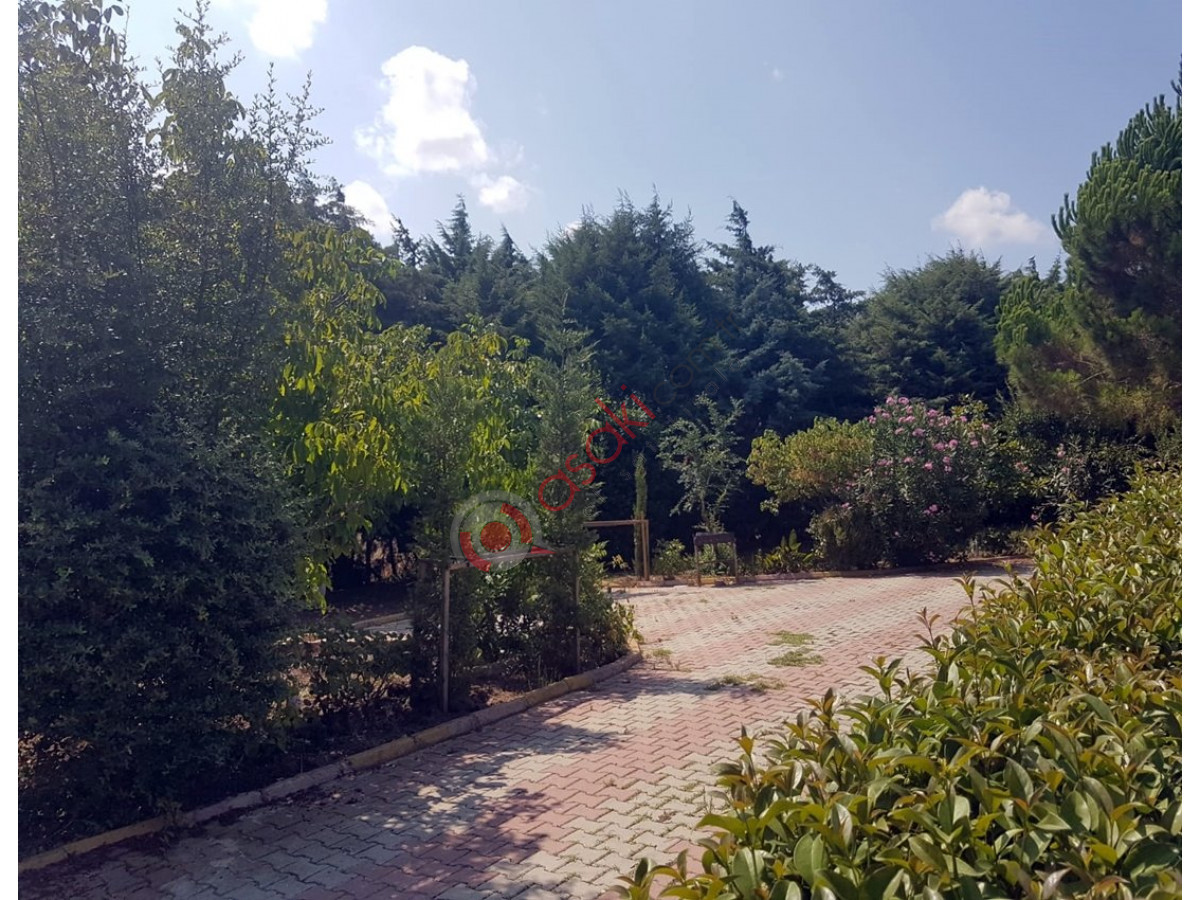 Silivri Ortaköy'de Satılık Çiftlik - Büyük 9