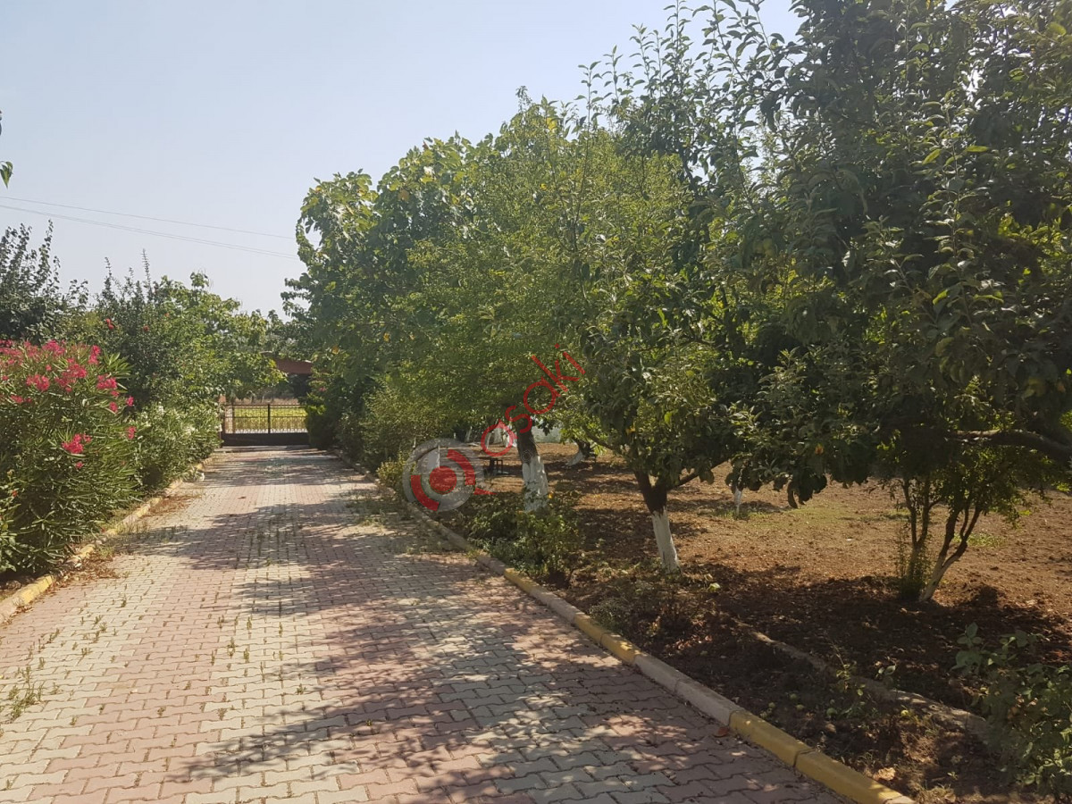Silivri Ortaköy'de Satılık Çiftlik - Büyük 8