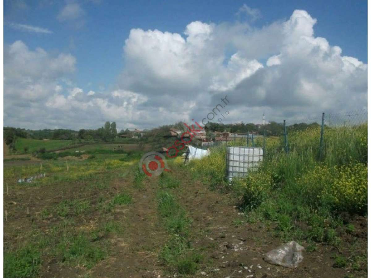 Silivri Bekirli'de Satılık 2,5 Dönüm Tarla