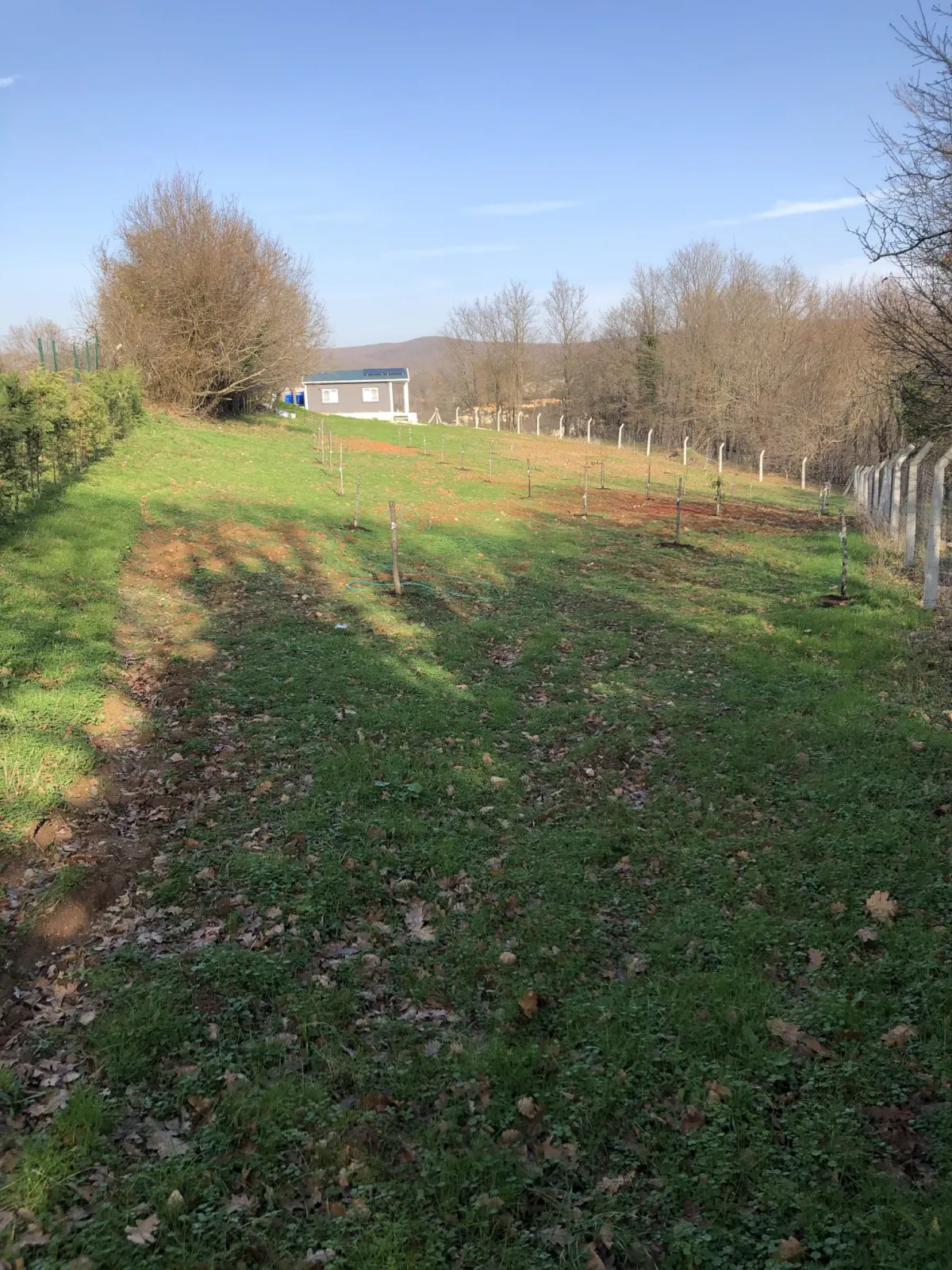 &Ccedil;atalca İhsaniye K&ouml;y&uuml;nde Satılık M&uuml;stakil Tarla - Büyük 3