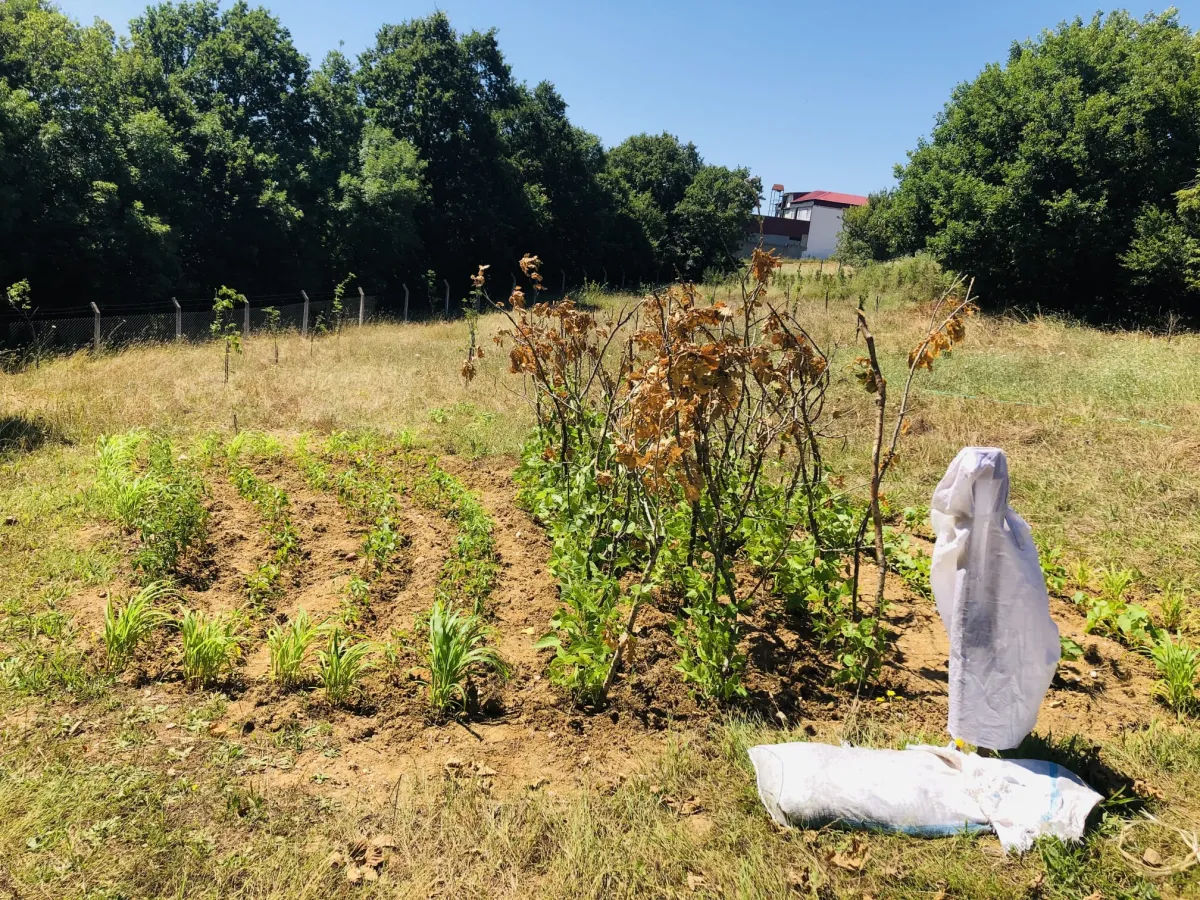 &Ccedil;atalca İhsaniye K&ouml;y&uuml;nde Satılık M&uuml;stakil Tarla - Büyük 4
