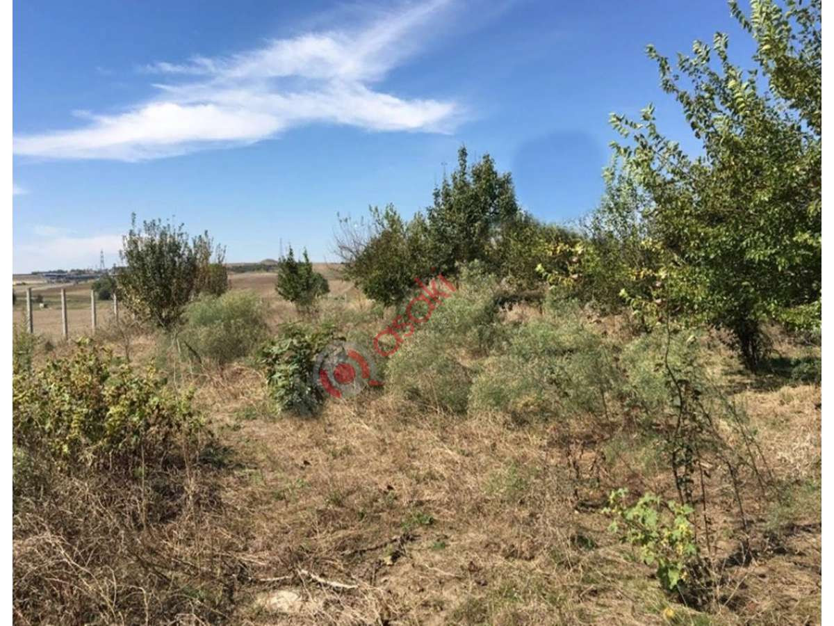 Silivri Fevzipaşa'da 3,5 Dönüm Tarla - Büyük 1