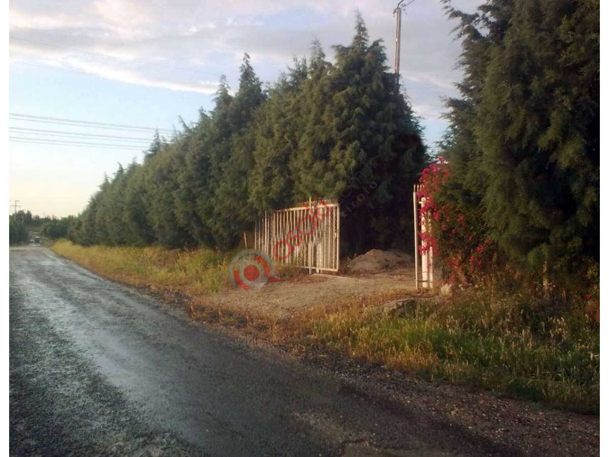 çatalca Elbasan'da Köşe Kupon 12450 M² Satılık Arazi - Büyük 1
