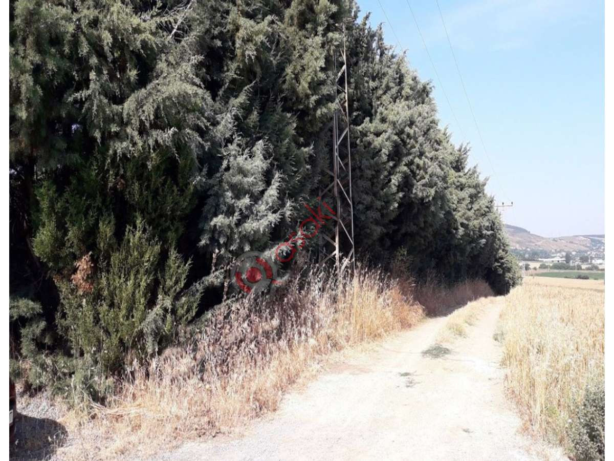 çatalca Elbasan'da Köşe Kupon 12450 M² Satılık Arazi - Büyük 2