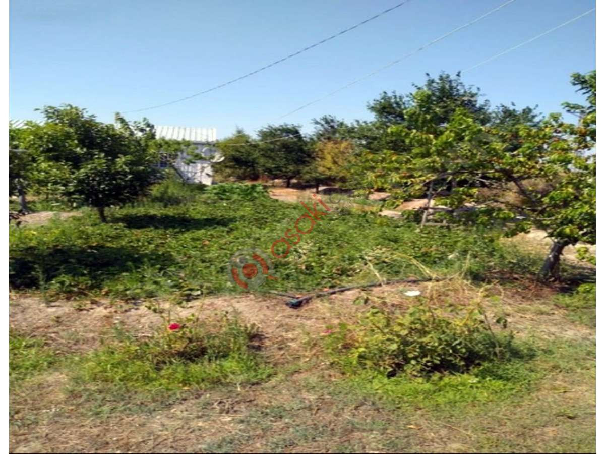 M.ereğlisi Yakuplu'da Anayol Cepheli 10500 M&sup2;  Bağ Evi - Büyük 1