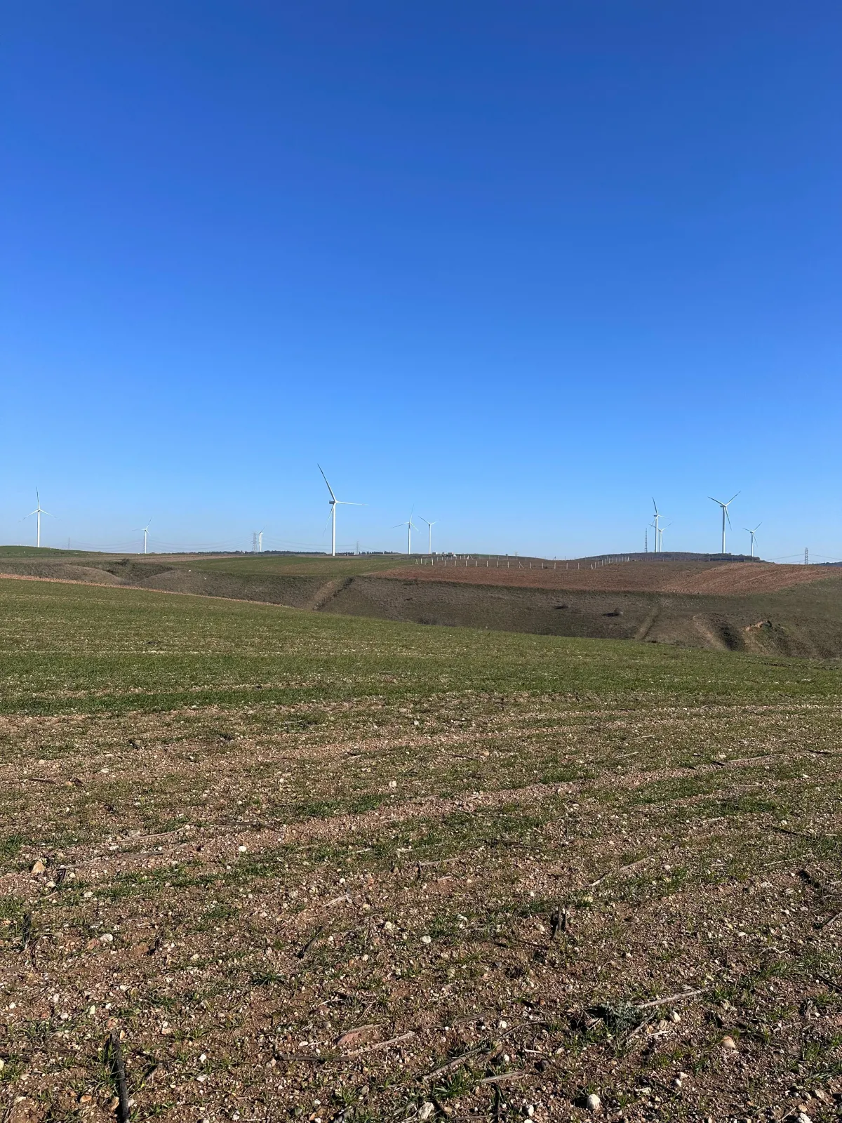 Silivri Değirmenköy'de Satılık Tarla - Büyük 14