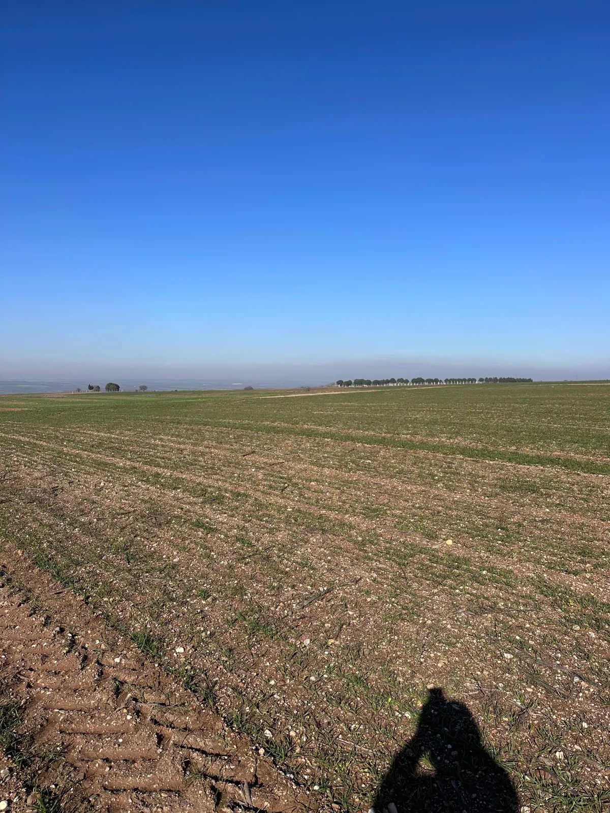 Silivri Değirmenköy'de Satılık Tarla - Büyük 15