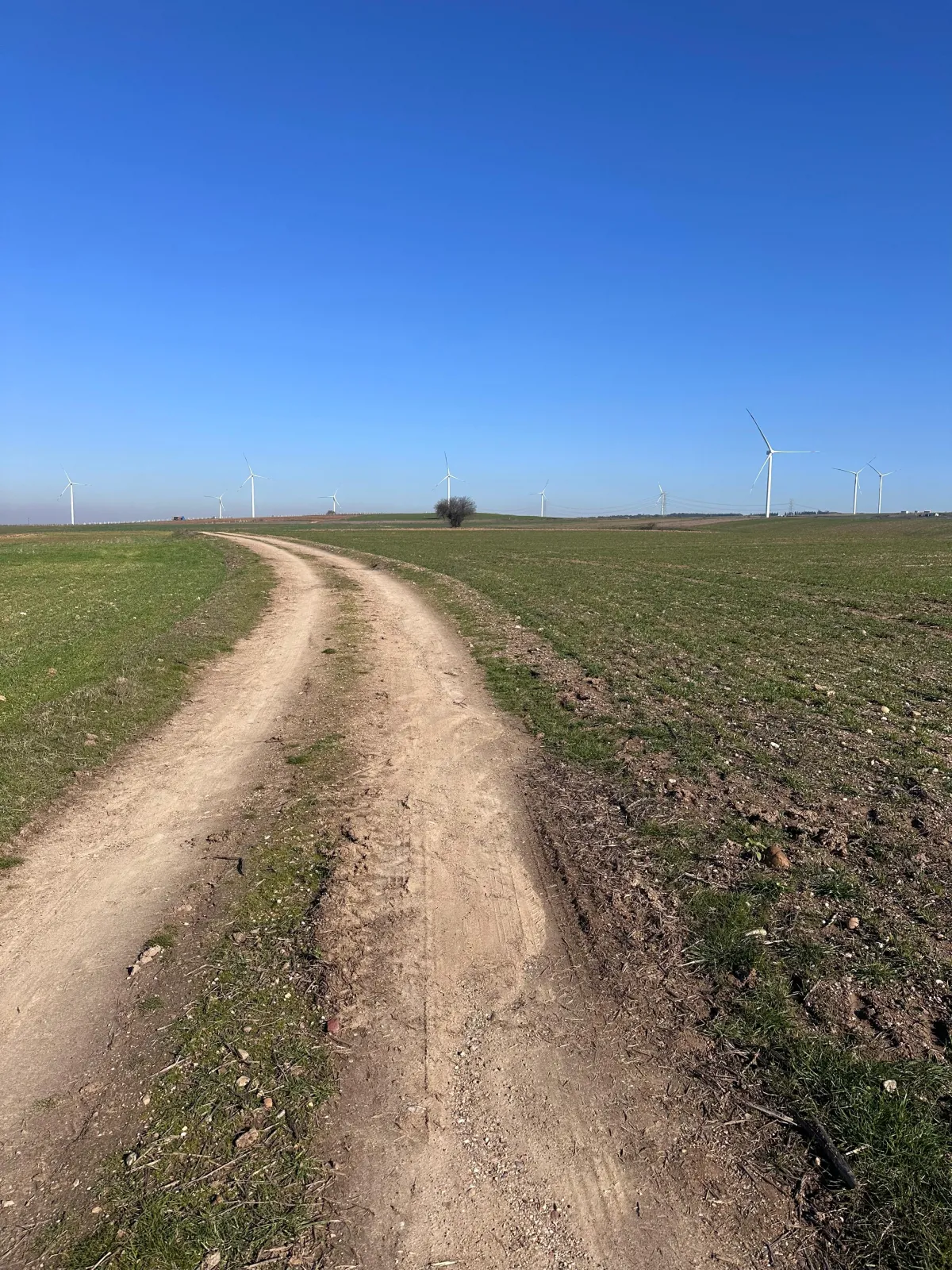 Silivri Değirmenköy'de Satılık Tarla - Büyük 2