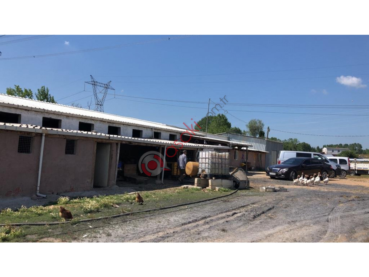 Satılık 15.850 M² çiflik Gebze Denizli Köyü Tuzlaya 10 Dakika - Büyük 1