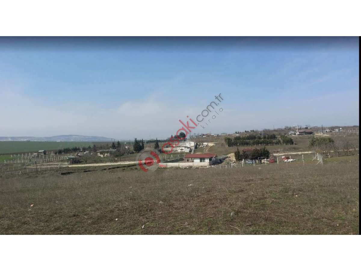 Büyükçekmece Eskice Mah Yola Yakın Acil Satılık Tarla