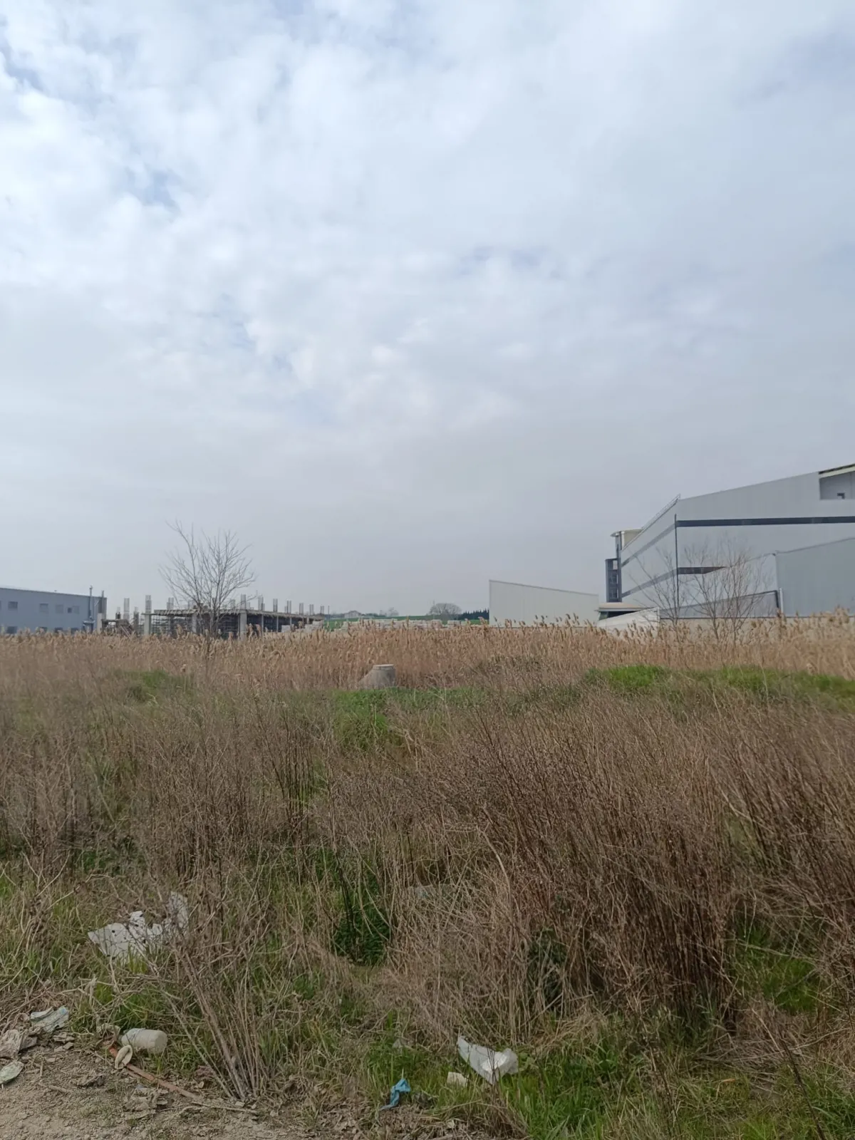 Silivri Ortaköy'de Sanayi Imarlı Satılık Arsa - Büyük 2