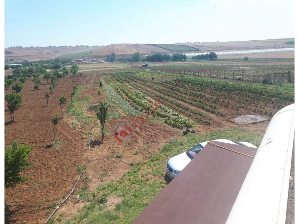 Tekirdağ M.ereğlisinde Satılık 17 Dönüm Satılık Bahçe - Büyük 3