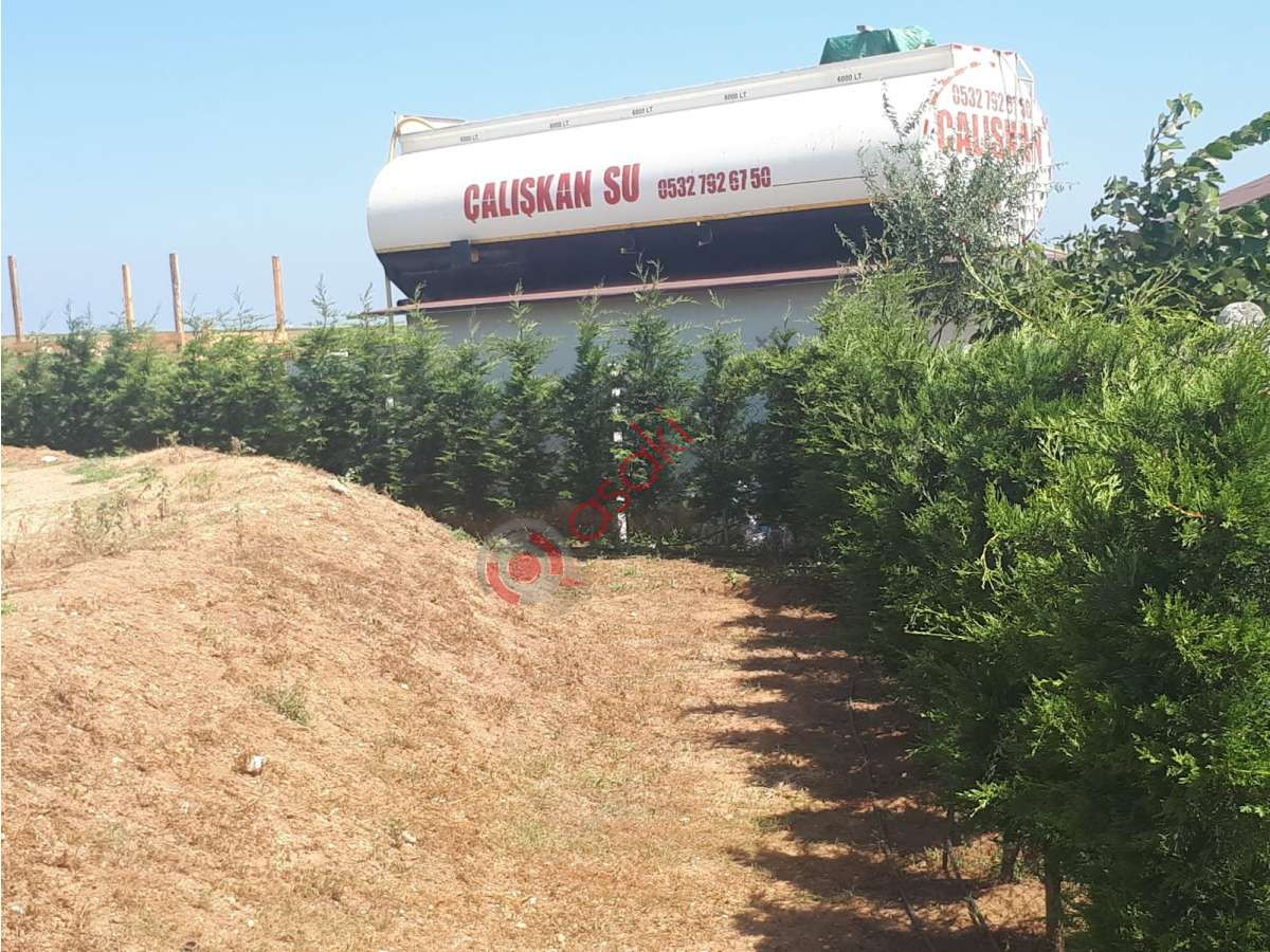 Tekirdağ M.ereğlisinde Satılık 17 Dönüm Satılık Bahçe - Büyük 5