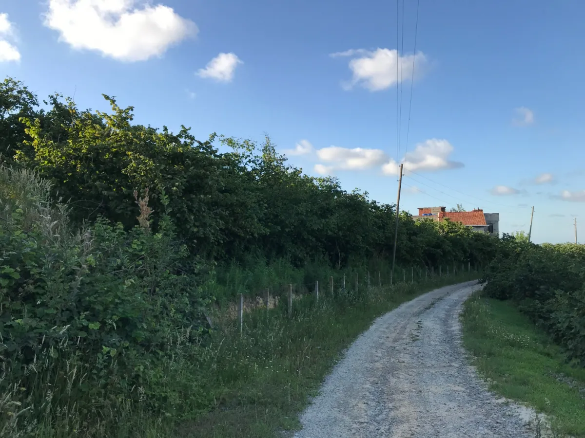 Sakarya Karasuda Deniz Manzaralı Satılık Fındıklık - Büyük 4