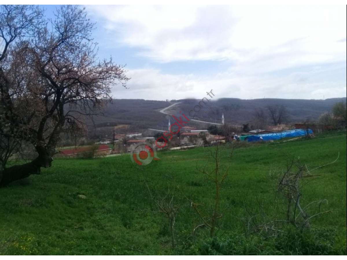 Tekirdağ Saray Da 30 Dönüm Tarla - Büyük 1