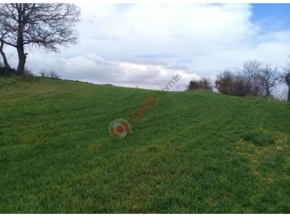 Tekirdağ Saray Da 30 Dönüm Tarla - Büyük 3