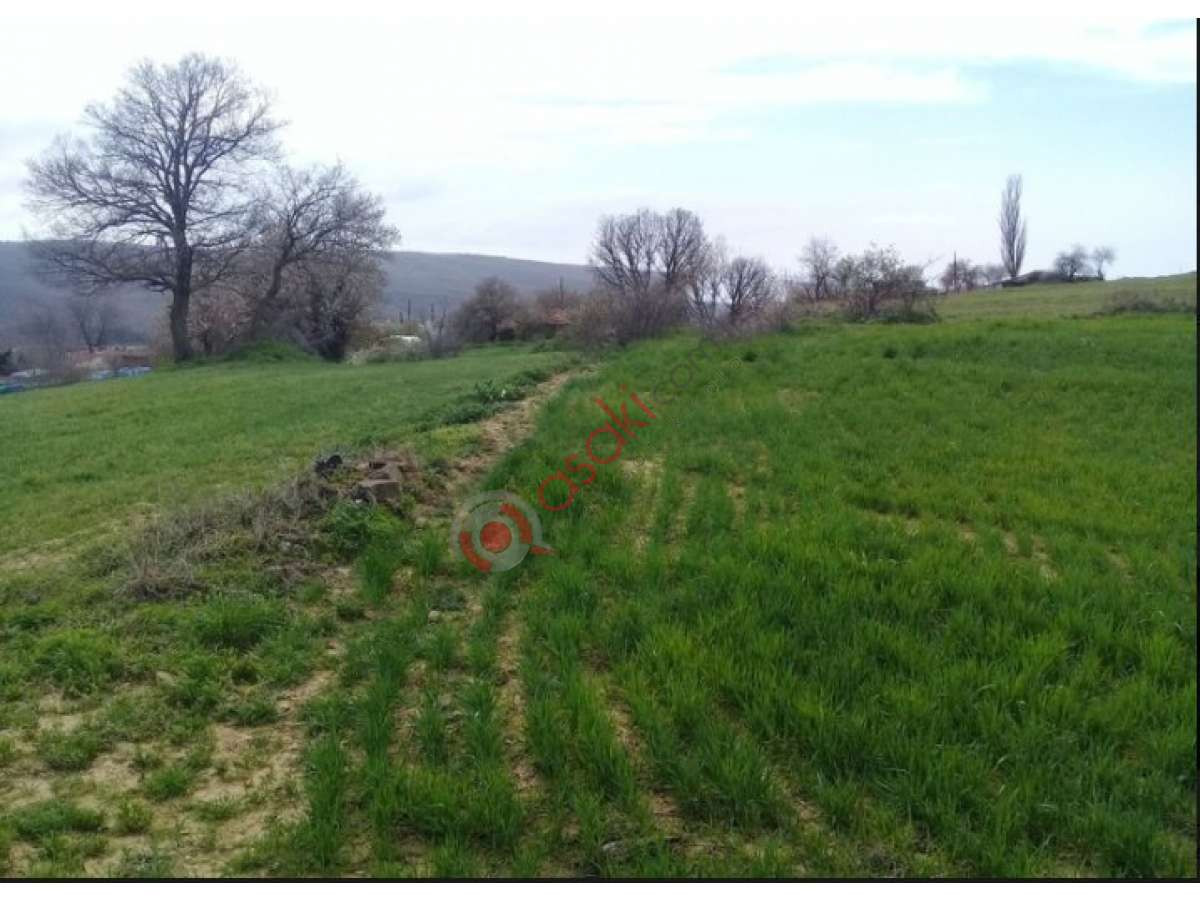 Tekirdağ Saray Da 30 Dönüm Tarla - Büyük 4