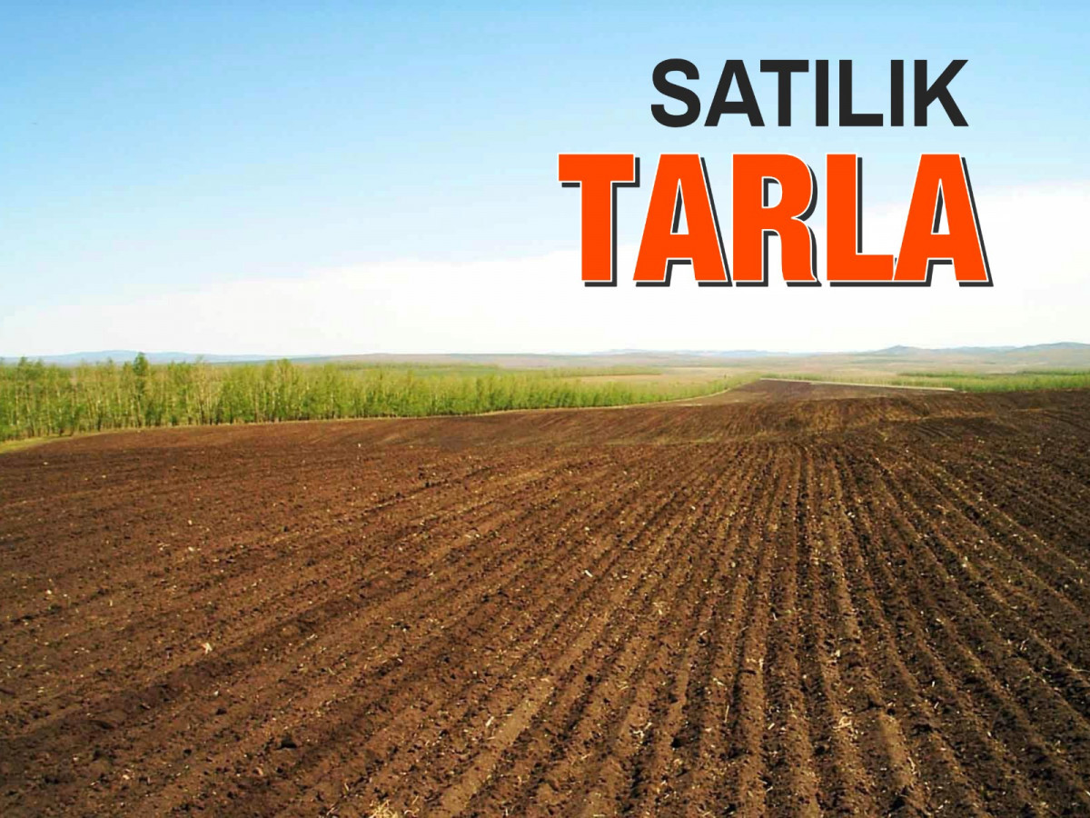 Silivri Fener Mh Satılık Tarla