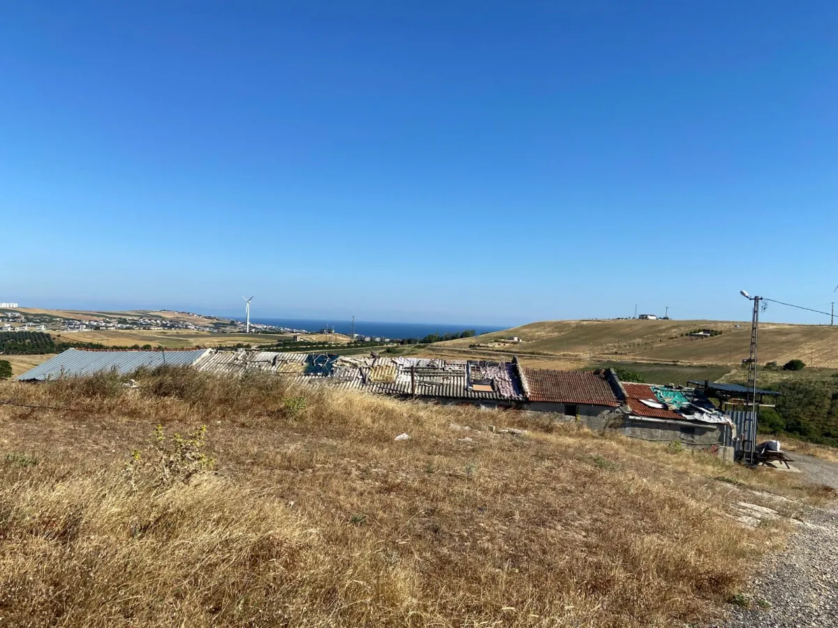 Kamiloba'da Yatırımlık Tarla - Büyük 5