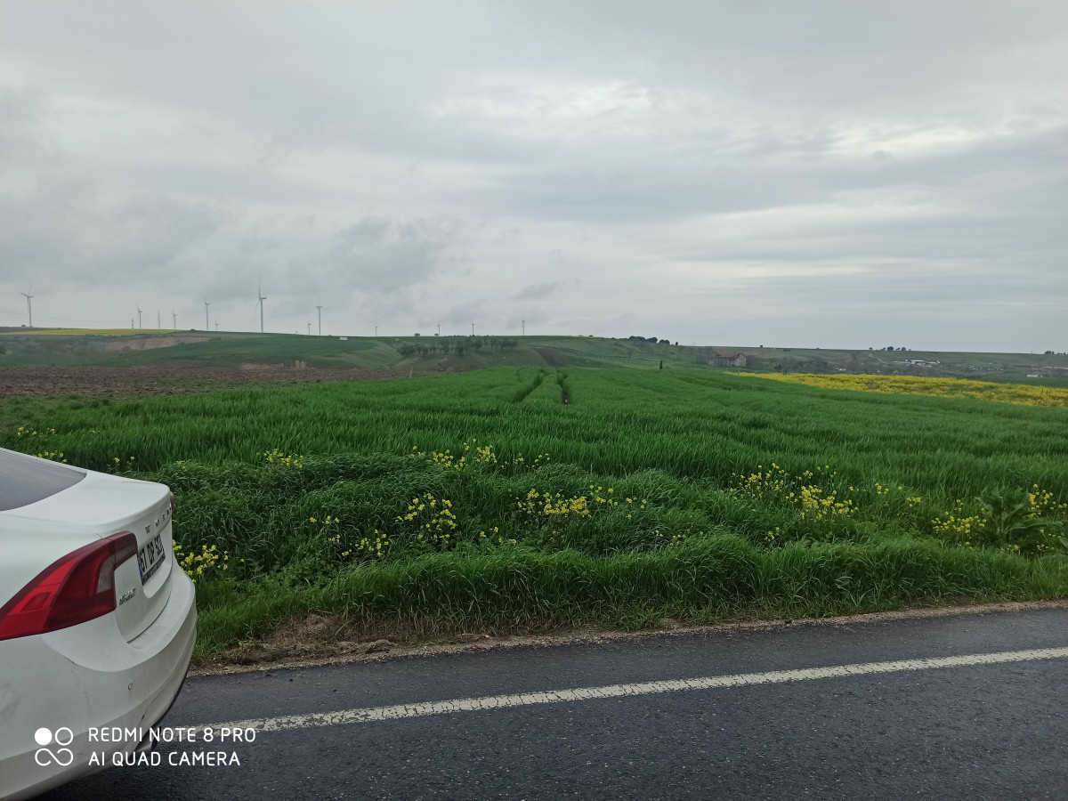 SİLİVRİ DEĞİRMENK&Ouml;Y'DE &Ccedil;İFTLİĞE UYGUN SATILIK TARLA