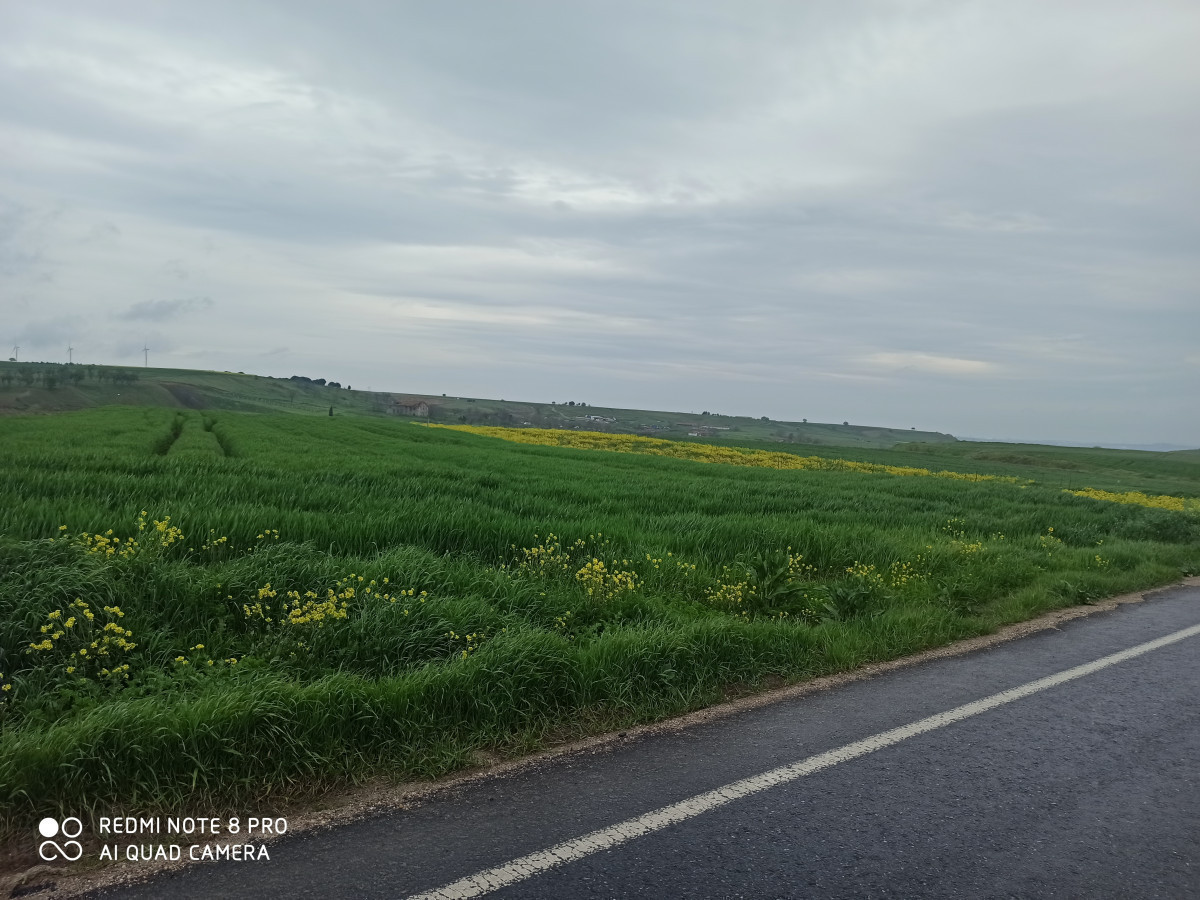 SİLİVRİ DEĞİRMENK&Ouml;Y'DE &Ccedil;İFTLİĞE UYGUN SATILIK TARLA - Büyük 2