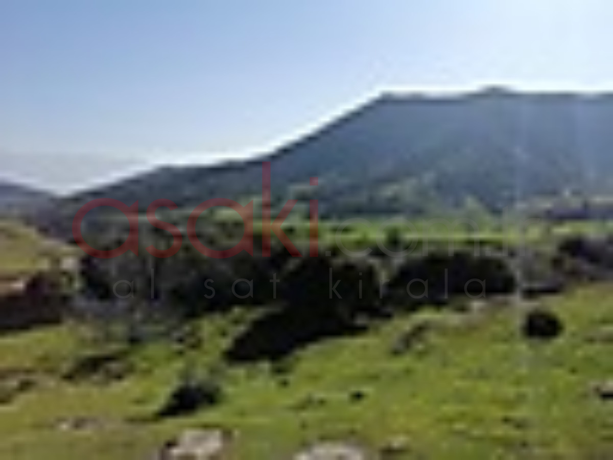5.120 M2 TARLA ELEKTRİK YOL SU HERŞEY VAR - Büyük 2