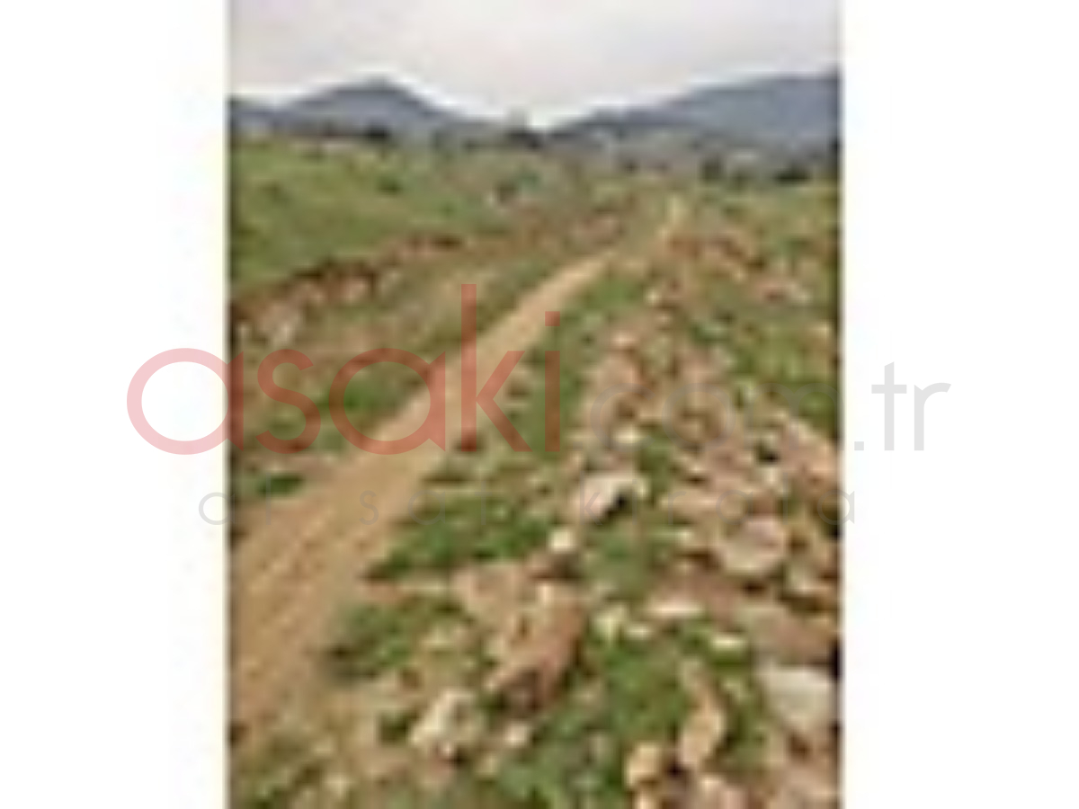 5.120 M2 TARLA ELEKTRİK YOL SU HERŞEY VAR - Büyük 3