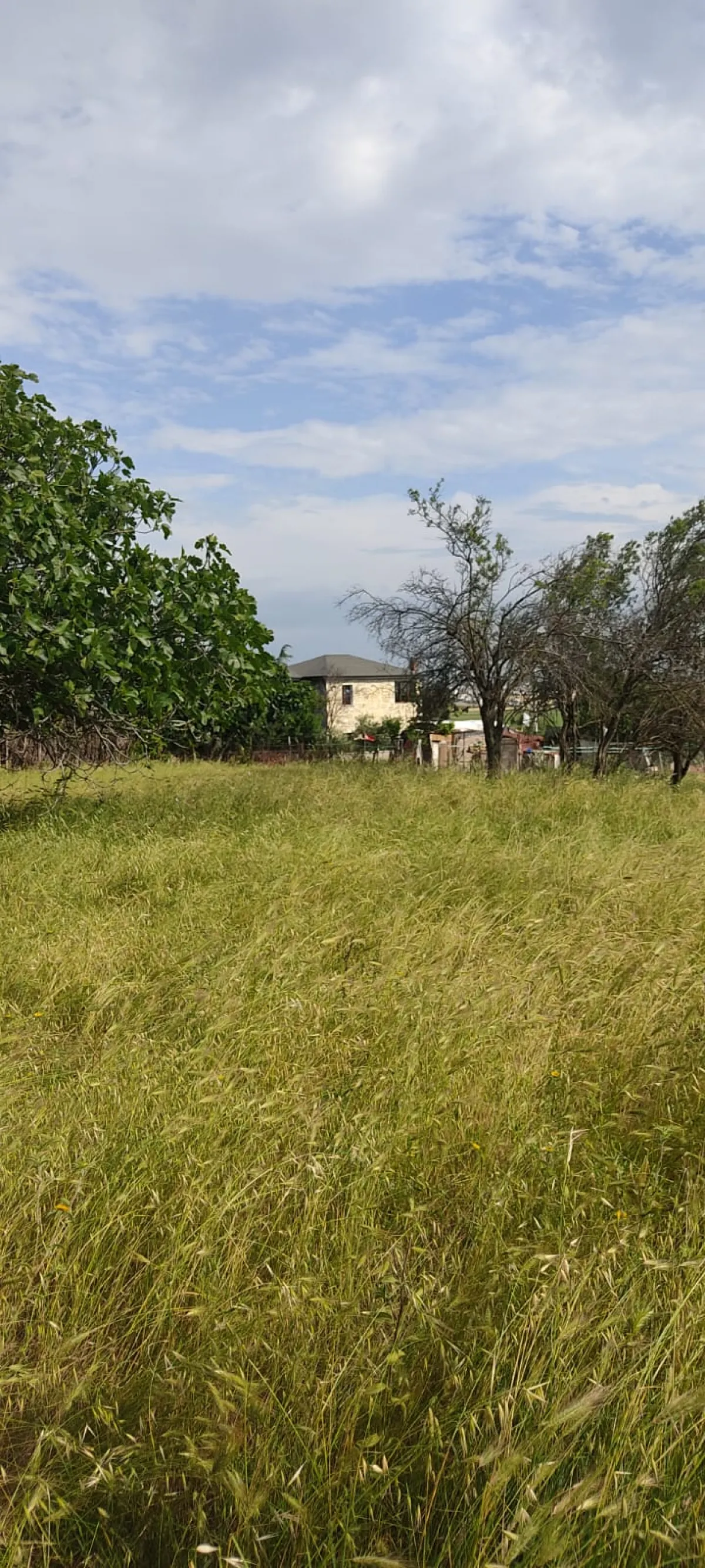M.ereğlisi Yeni&ccedil;iftlikte Satılık Arsa - Büyük 2