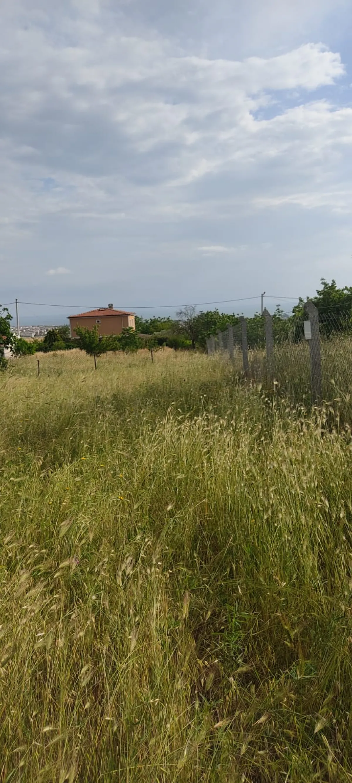 M.ereğlisi Yeni&ccedil;iftlikte Satılık Arsa - Büyük 4