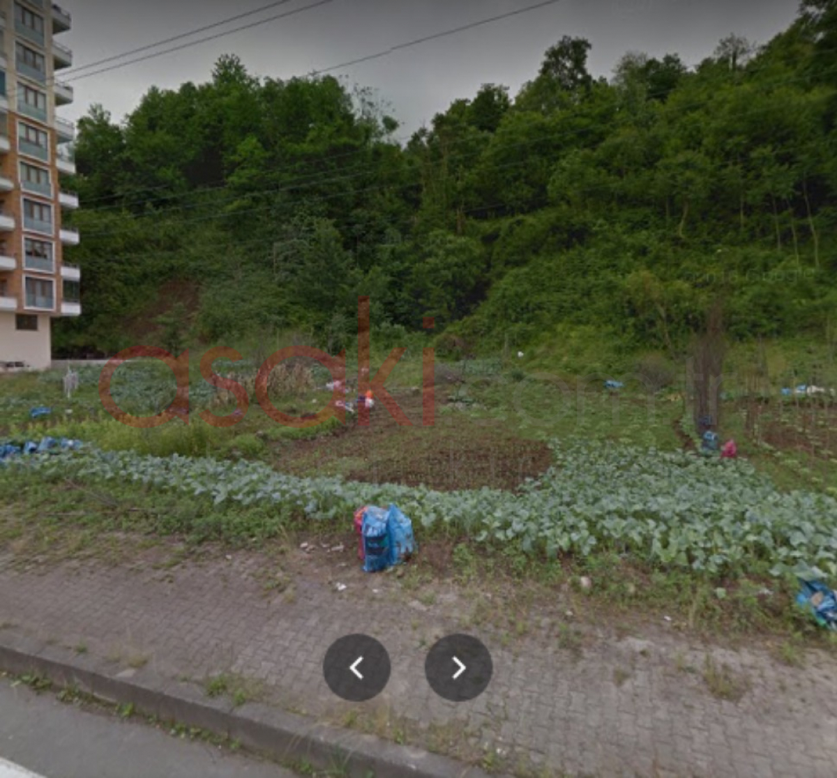 RİZE ÇAYELİ KESMETAŞ MAH SATILIK TURİZM İMARLI 7500M² arsa - Büyük 1