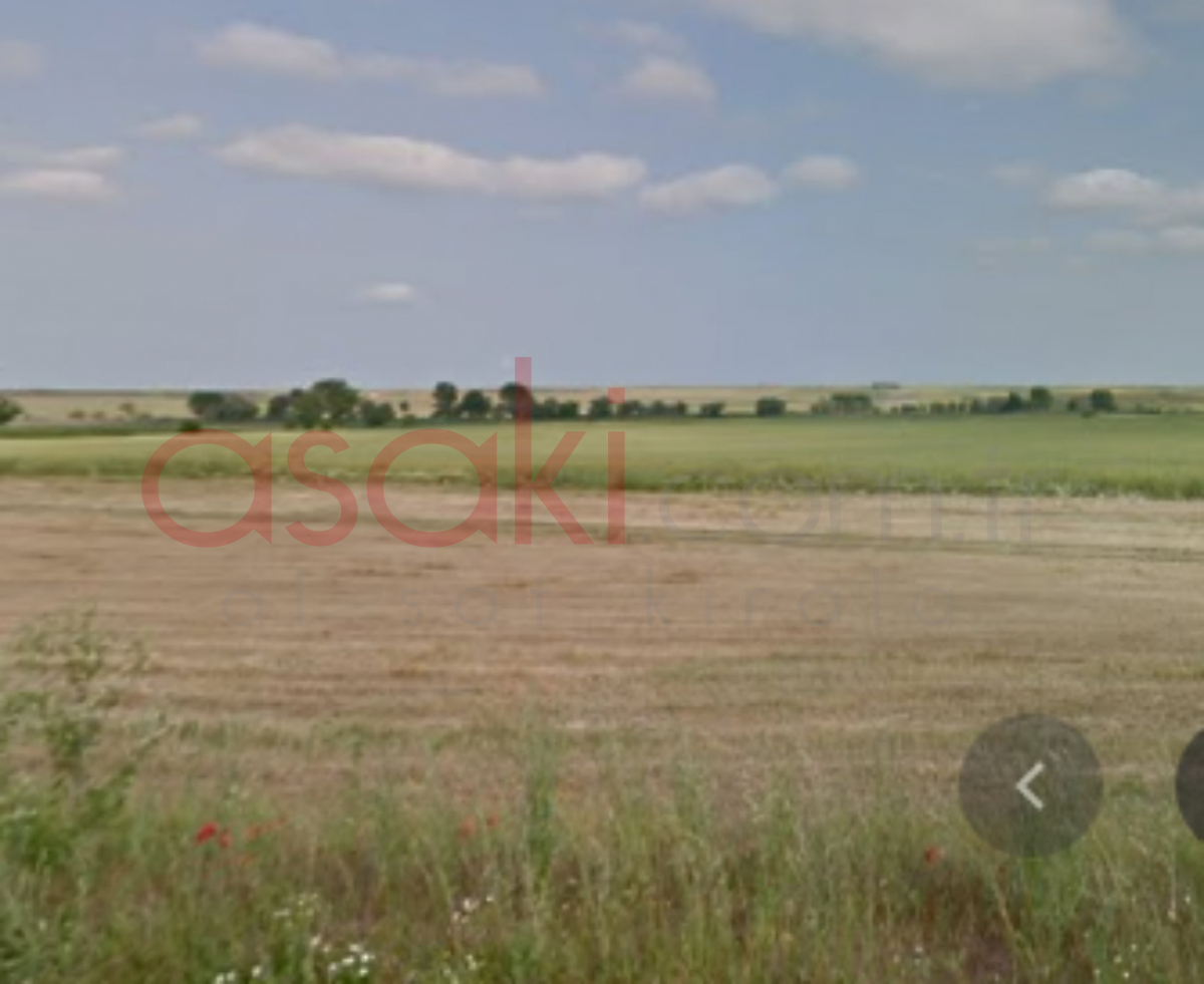 Hadımköy Merkezde 10.000 m²  Yola Cepheli Tarla.