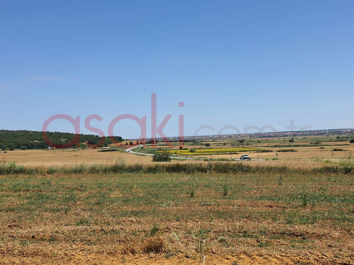 SARAY VİZE ANA ASFALTA CEPHE 4546 m2 SATILIK TARLA - Büyük 9