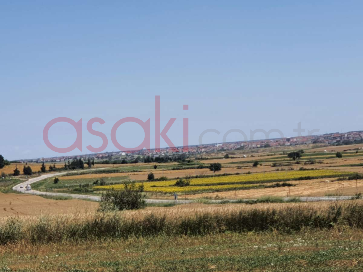 SARAY VİZE ANA ASFALTA CEPHE 4546 m2 SATILIK TARLA - Büyük 11