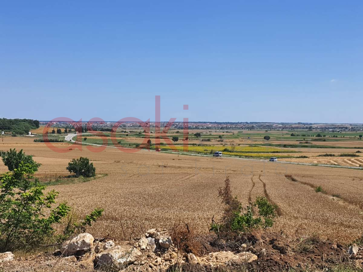 SARAY VİZE ANA ASFALTA CEPHE 4546 m2 SATILIK TARLA - Büyük 12