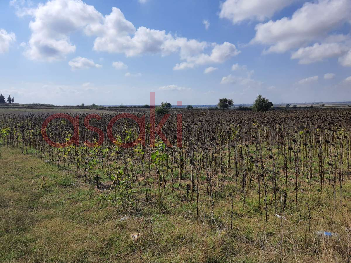 SARAY VİZE ANA ASFALTA CEPHE 4546 m2 SATILIK TARLA - Büyük 16