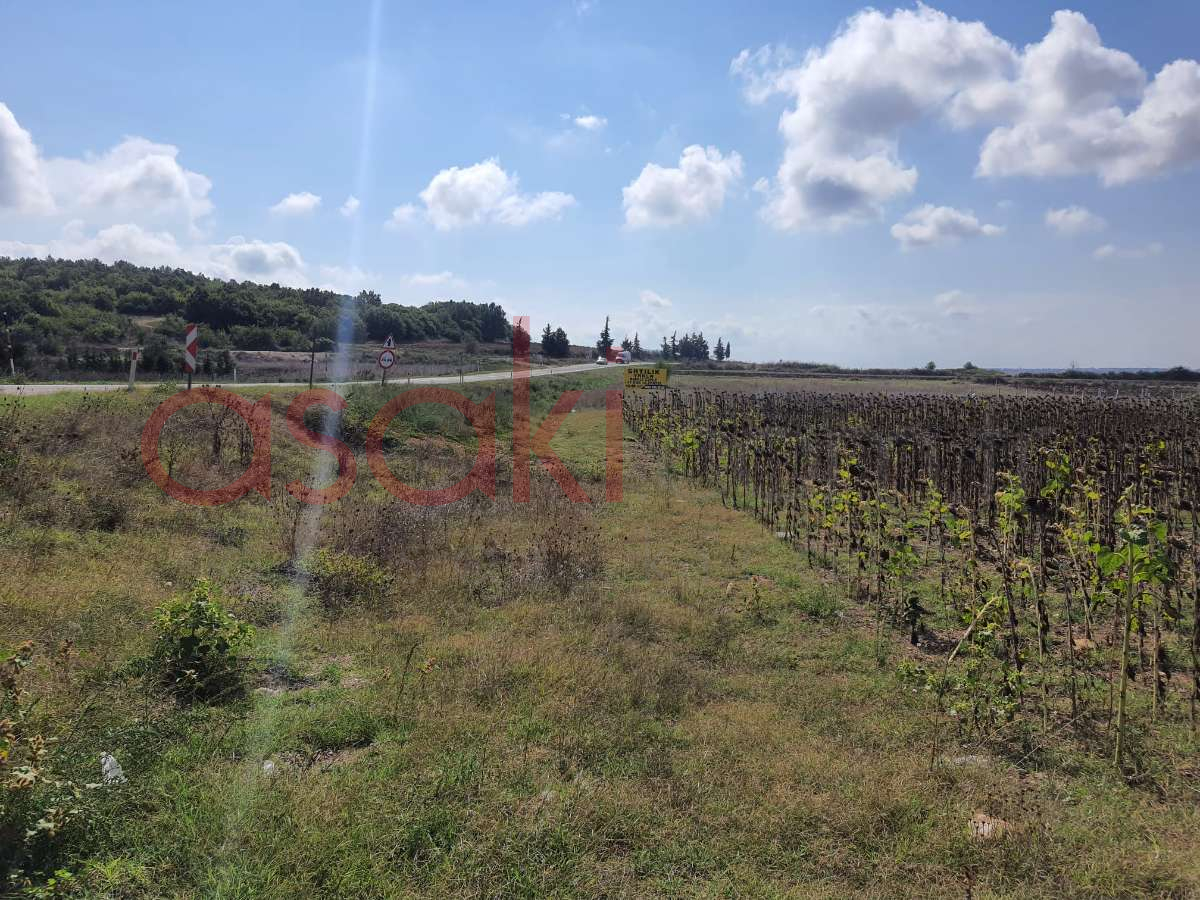 SARAY VİZE ANA ASFALTA CEPHE 4546 m2 SATILIK TARLA - Büyük 19