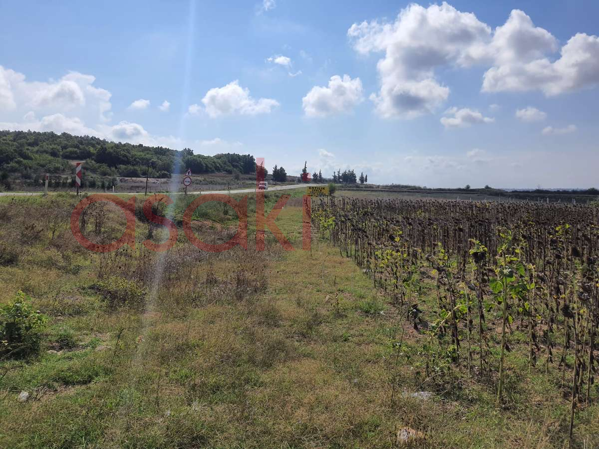 SARAY VİZE ANA ASFALTA CEPHE 4546 m2 SATILIK TARLA - Büyük 23