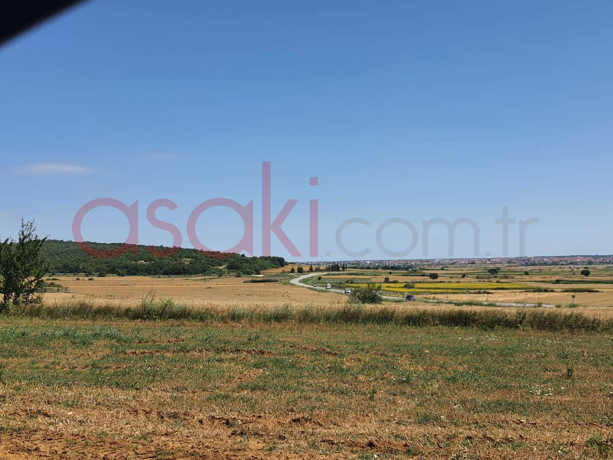 SARAY VİZE ANA ASFALTA CEPHE 4546 m2 SATILIK TARLA - Büyük 6