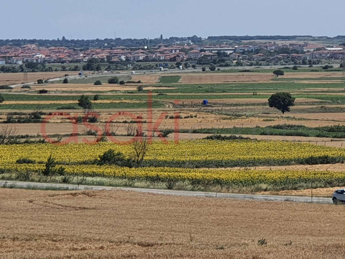 SARAY VİZE ANA ASFALTA CEPHE 4546 m2 SATILIK TARLA - Büyük 7