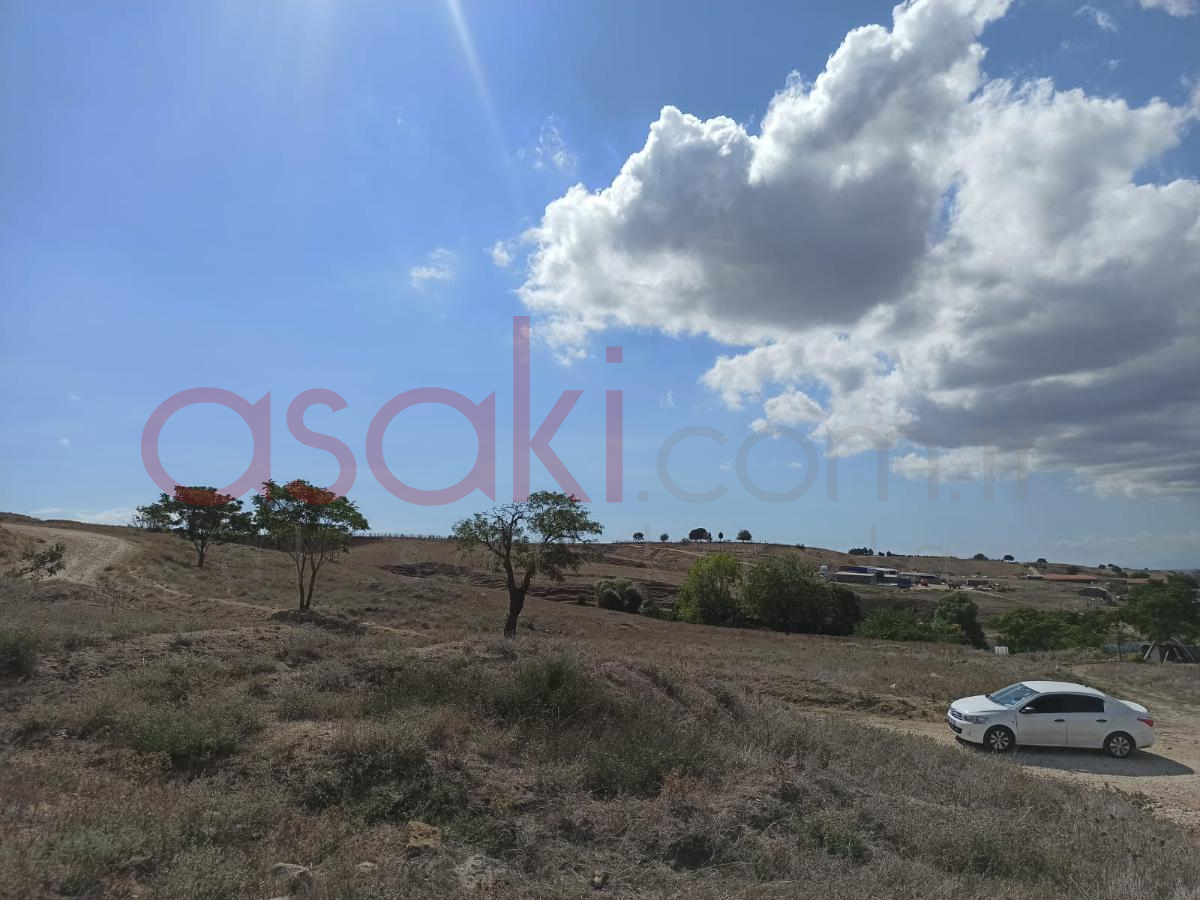 Silivri EskiDeğirmenköy İçi Bağ Bahçe Yapmaya Uygun Satılık Tarla - Büyük 15