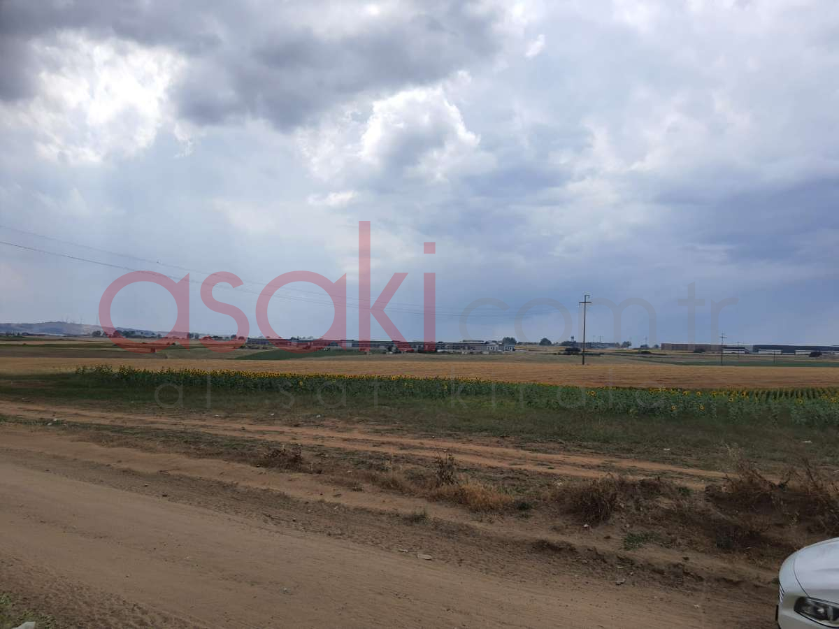 TEKİRDAĞ ÇORLU ŞEYHSİNAN MAHALLESİN'DE SATILIK ARSA - Büyük 8