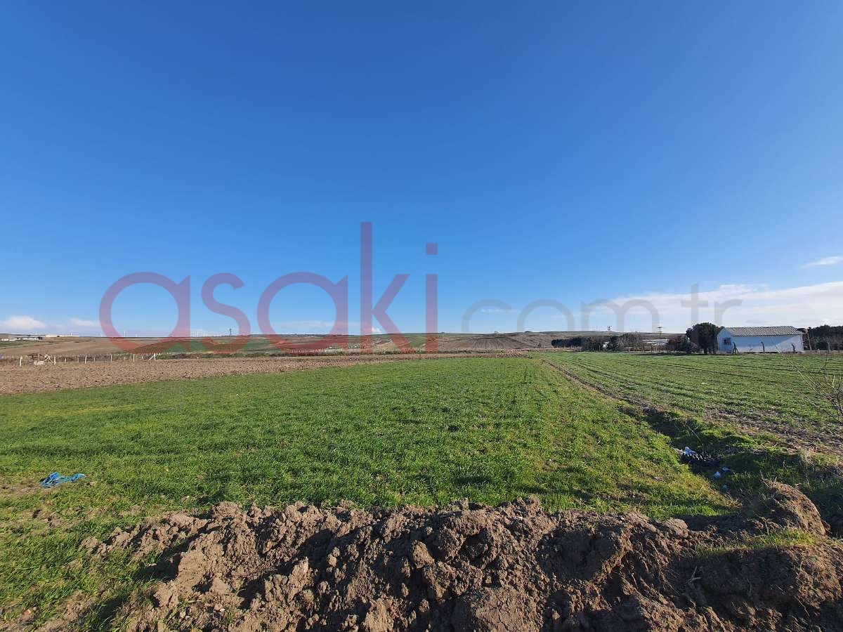 Silivri Değirmenköy'de Tek Tapu Satılık Tarla