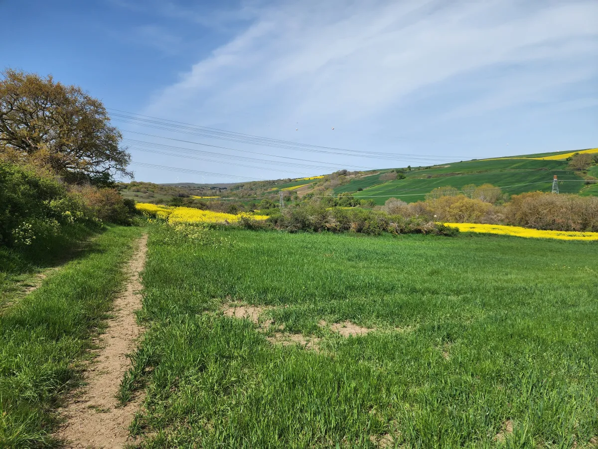 Silivri B&uuml;y&uuml;kkılı&ccedil;lıda 3061 m2 Tek Tapu Satılık Tarla