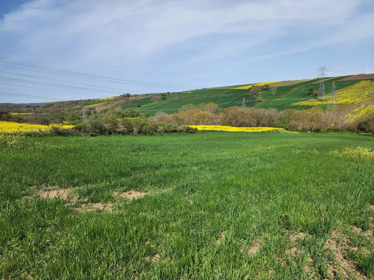🚨 SİLİVRİ B&Uuml;Y&Uuml;KKILI&Ccedil;LI'DA ŞOK İNDİRİM! BU FIRSAT KA&Ccedil;MAZ! 🚨 - Büyük 2