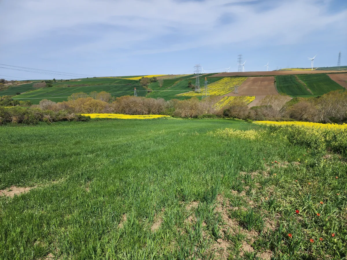 🚨 SİLİVRİ B&Uuml;Y&Uuml;KKILI&Ccedil;LI'DA ŞOK İNDİRİM! BU FIRSAT KA&Ccedil;MAZ! 🚨 - Büyük 3