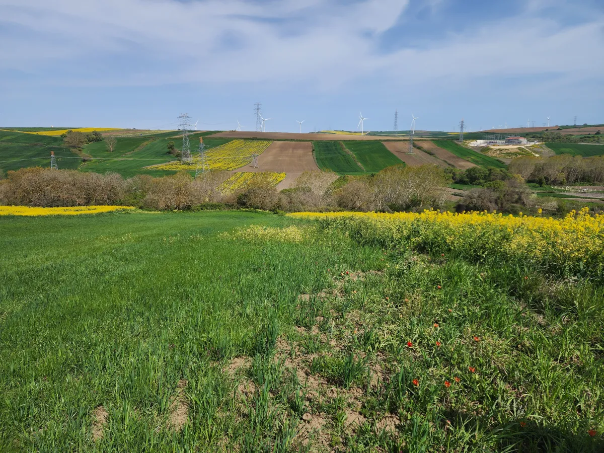 🚨 SİLİVRİ B&Uuml;Y&Uuml;KKILI&Ccedil;LI'DA ŞOK İNDİRİM! BU FIRSAT KA&Ccedil;MAZ! 🚨 - Büyük 4