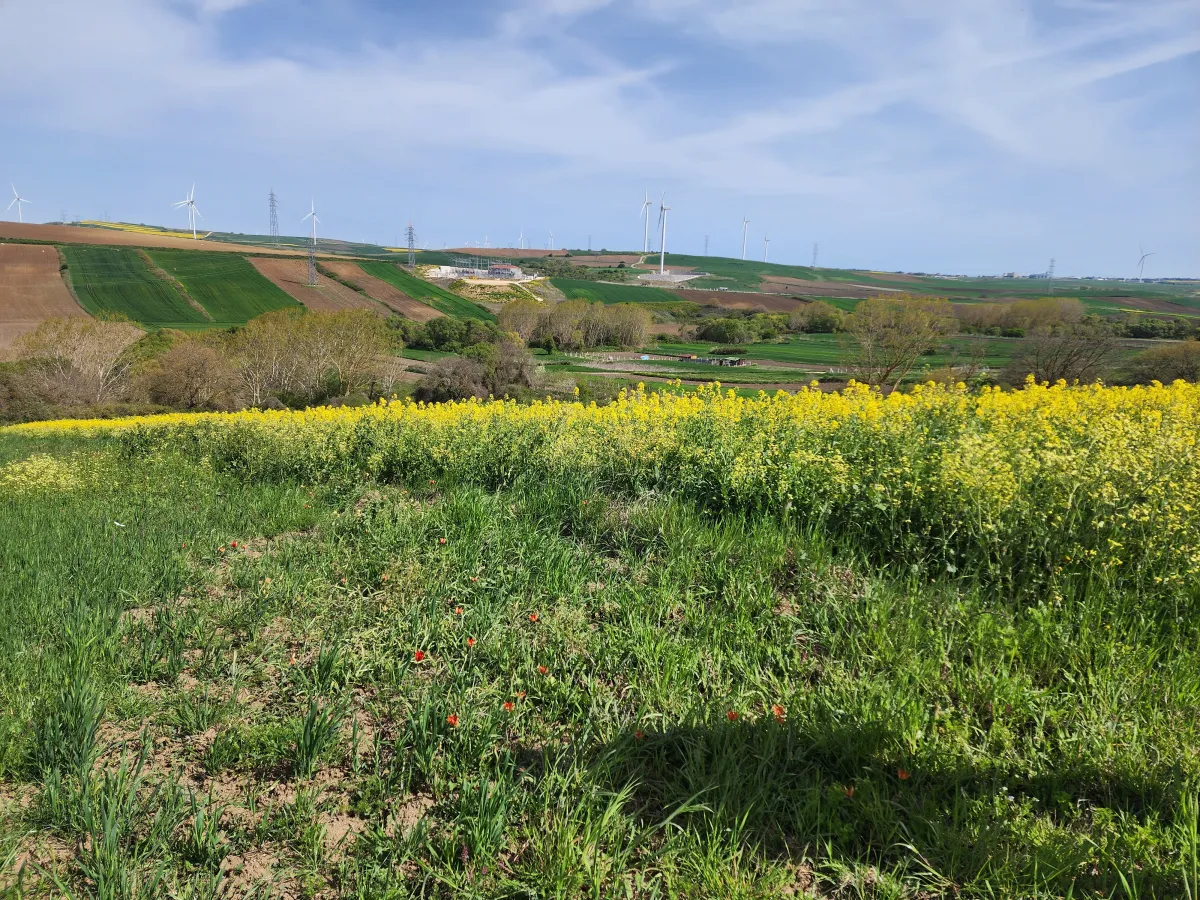 🚨 SİLİVRİ B&Uuml;Y&Uuml;KKILI&Ccedil;LI'DA ŞOK İNDİRİM! BU FIRSAT KA&Ccedil;MAZ! 🚨 - Büyük 5