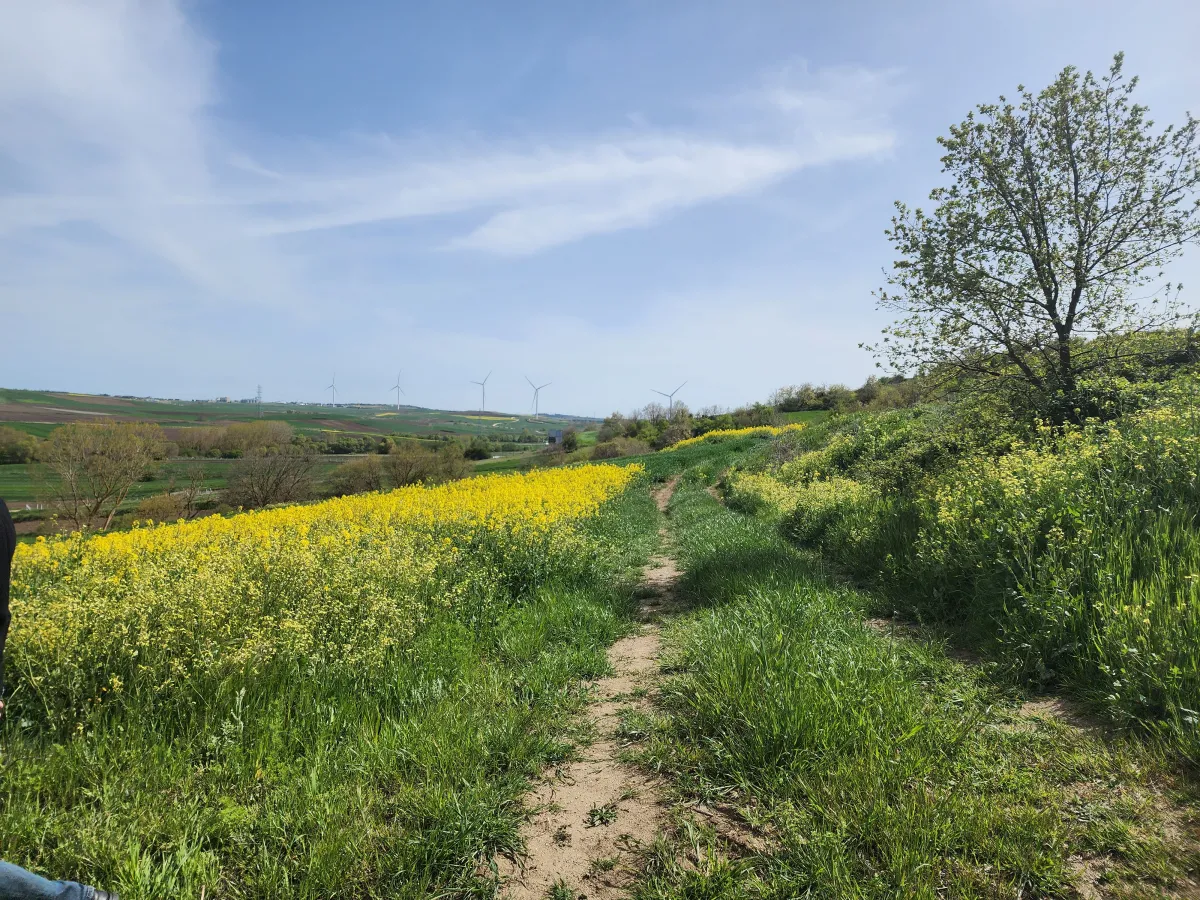 🚨 SİLİVRİ B&Uuml;Y&Uuml;KKILI&Ccedil;LI'DA ŞOK İNDİRİM! BU FIRSAT KA&Ccedil;MAZ! 🚨 - Büyük 7